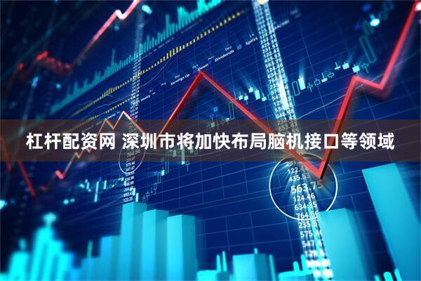 杠杆配资网 深圳市将加快布局脑机接口等领域