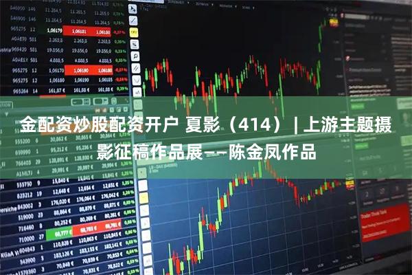 金配资炒股配资开户 夏影（414） | 上游主题摄影征稿作品展——陈金凤作品