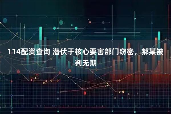 114配资查询 潜伏于核心要害部门窃密，郝某被判无期
