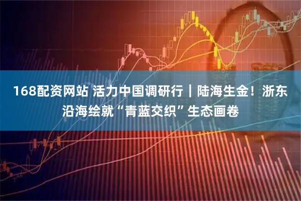 168配资网站 活力中国调研行｜陆海生金！浙东沿海绘就“青蓝交织”生态画卷